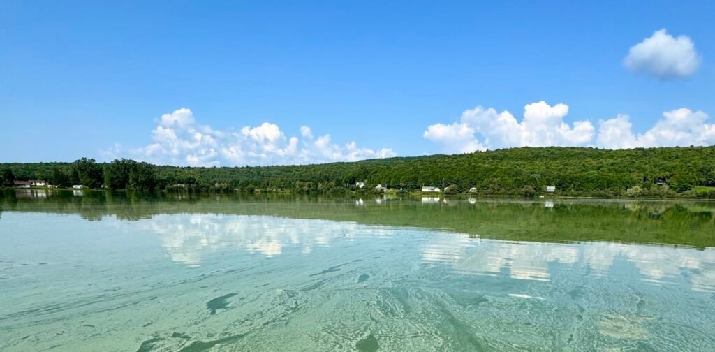 Monitoring the health of lakes through the microbes that live in them