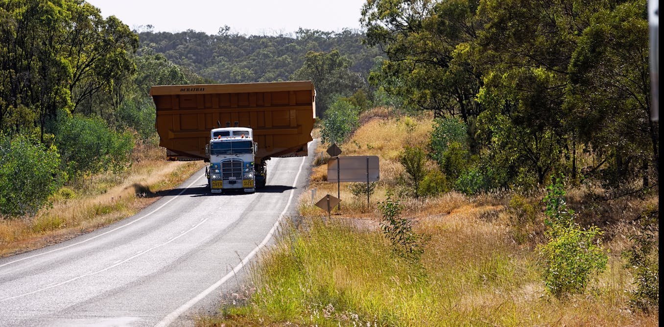 we found 145 koalas killed along a single Queensland highway last year