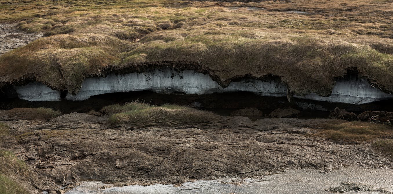 The frozen carbon of the northern permafrost is on the move – we estimated by how much